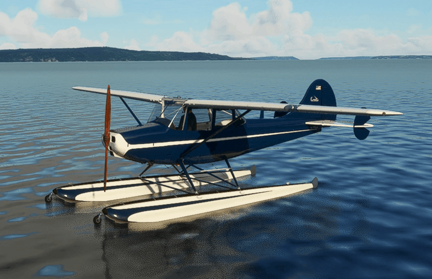 FSX - SibWings - CESSNA O-1 L-19 BIRD DOG  for computer
