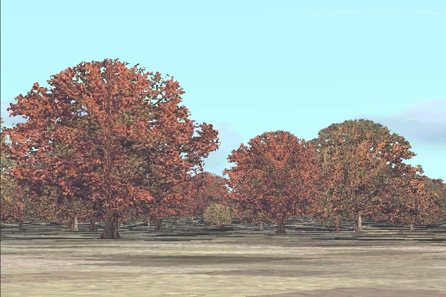 FS2002 Replacement AutoGen Vegetation Textures