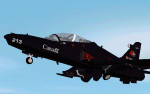 FS2002 Hawk Lead-in Fighter Trainer
