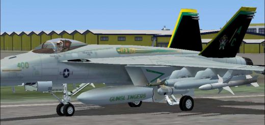 FSX F/A-18E Super Hornet VFA-105 Gunslingers Textures Only