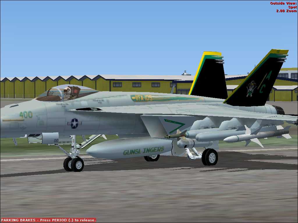 FSX F/A-18E Super Hornet VFA-105 Gunslingers Textures Only