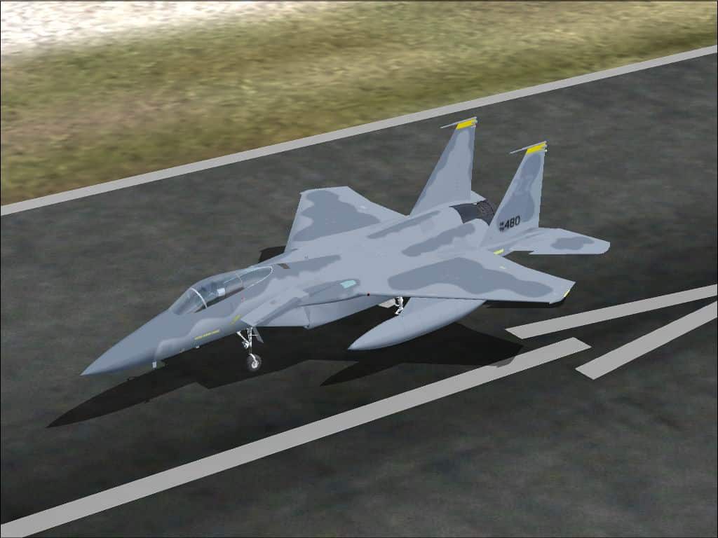 United States Air Force F-15C Eagle