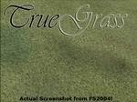 FS2004 ‘TrueGrass’ Alternative Grass Textures v1.3