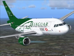 Airbus A319-112 CFM – Formel 1 – Jaguar