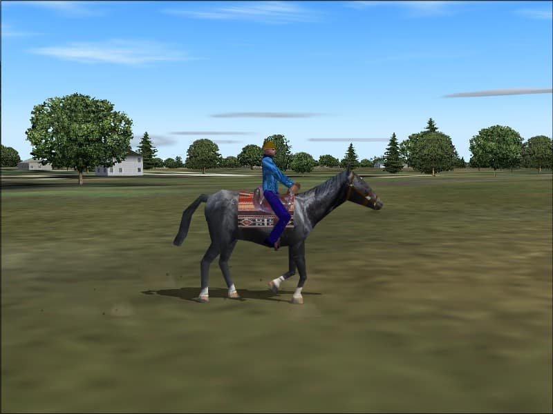 FS2004 Rideable Black Stallion