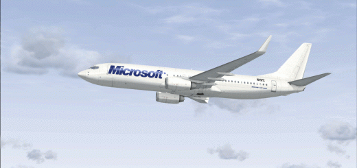 FSX Microsoft Boeing 737-800 Texture
