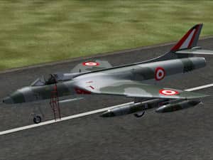 South American Export Alphasim Hunter Pack