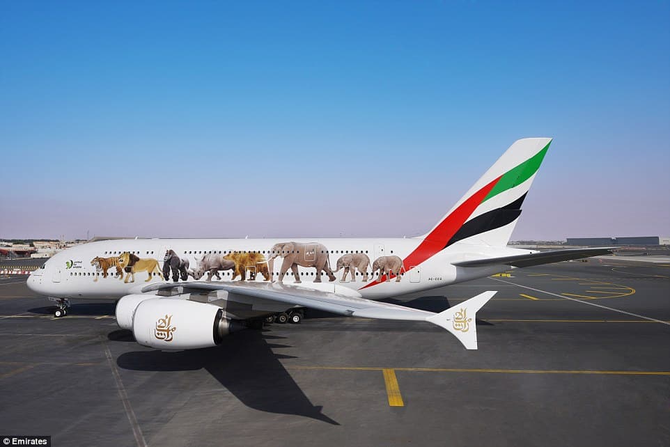 Airbus A380 with 6 Paints