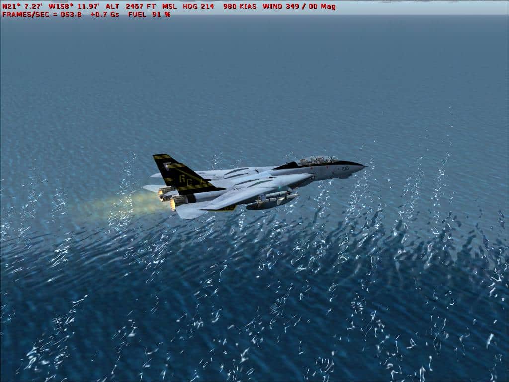FS2004 Dino Cattaneo’s F-14 Update