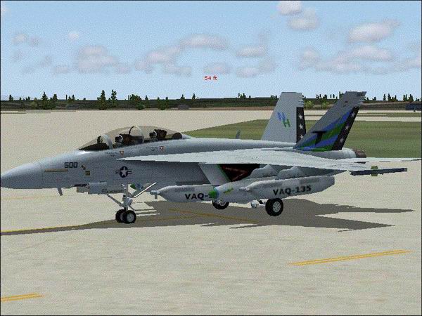 FS2004 FA-18 F VFA-135 US Navy Textures