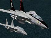 FS2004/2002 F-14 VF-101 “Grim Reapers” Textures only pack