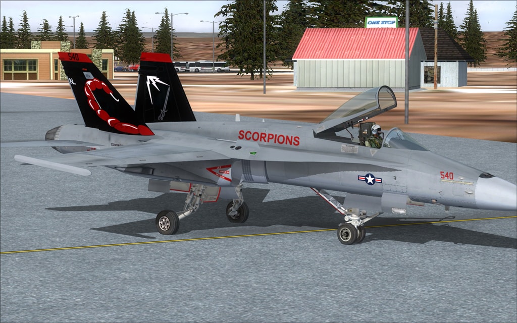 FSX Acceleration F/A-18C Hornet Scorpions CAG Textures