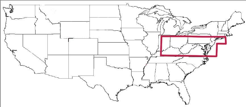FSX East USA 10 metre mesh, Batch 6 Part 4 of 6