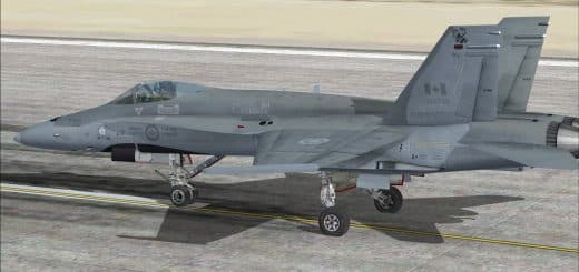 FSX RCAF CF-18 416 Sqn Low Vis Textures