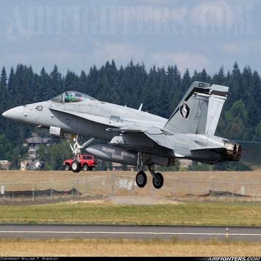 VRS Superbug VFA-94 70th Anniversary Textures