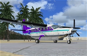 FSX Cessna 208B – Palm Express Textures