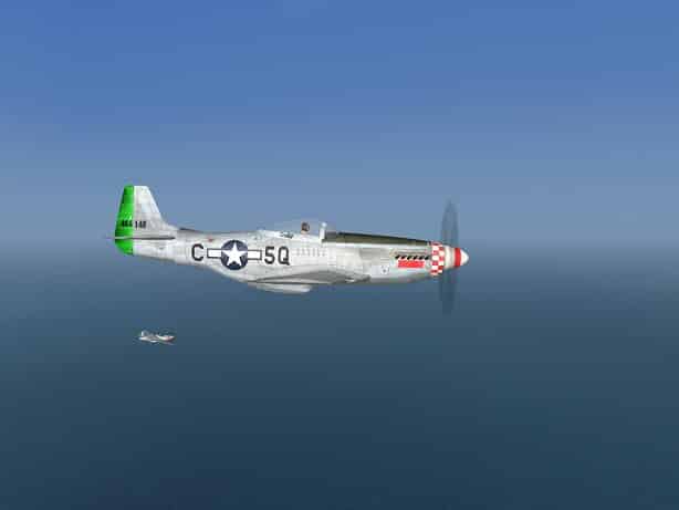 P-51D 339th FG