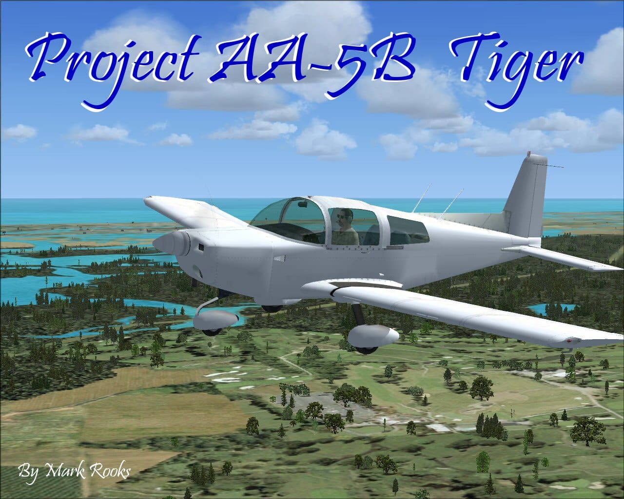 FSX Grumman AA-5B Tiger Repaint Project