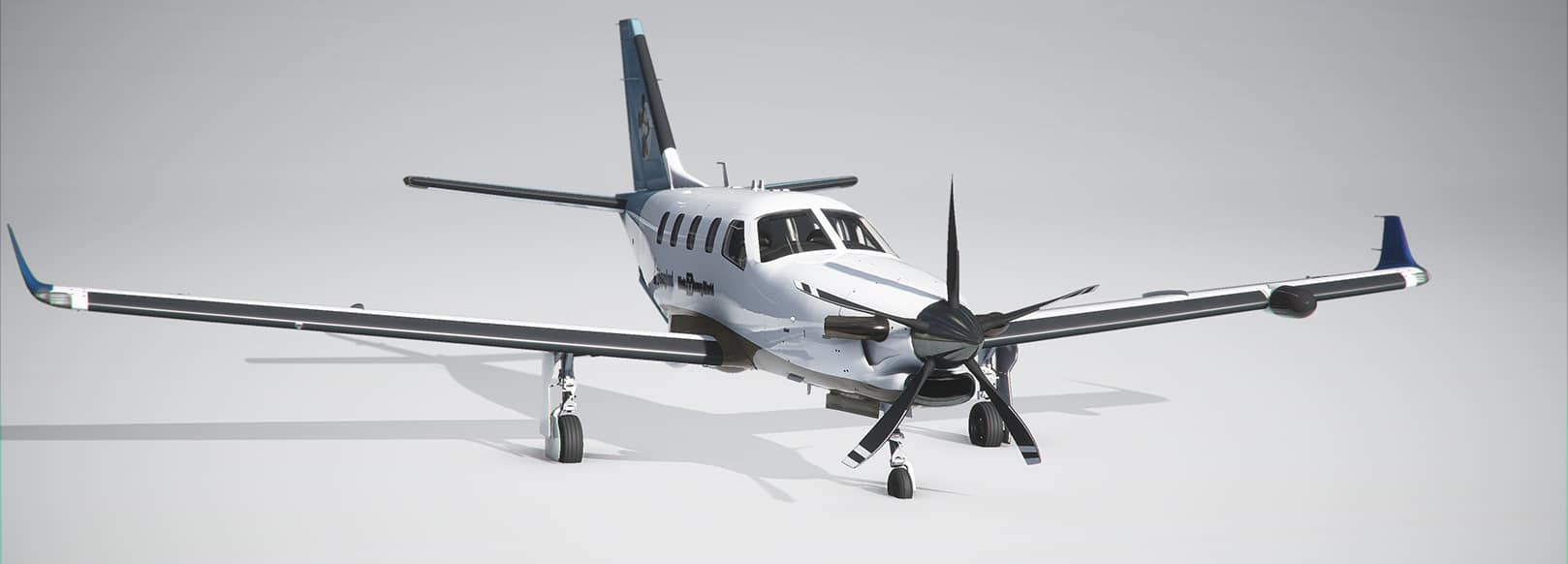 Disney Plane (TBM 930)