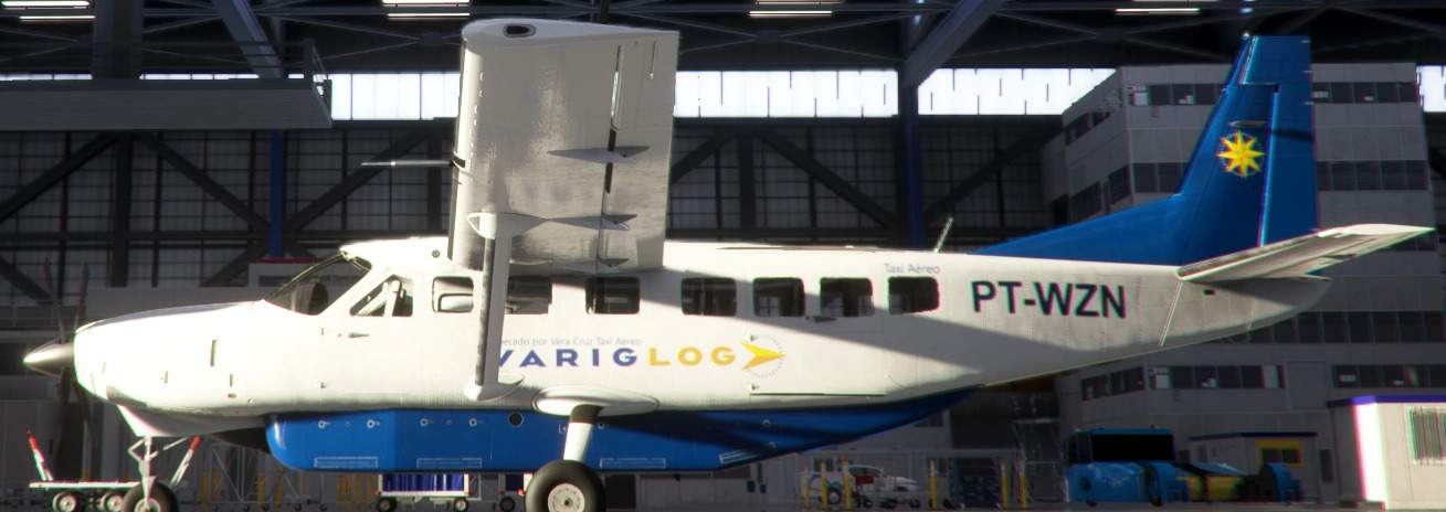 VarigLog C208B PT-WZN v1.0