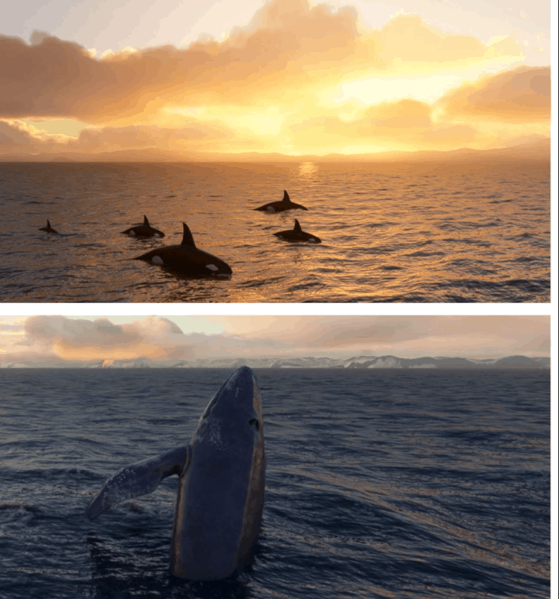 Alaskan coast sea life for Expedition Alaska 2021 v1.0