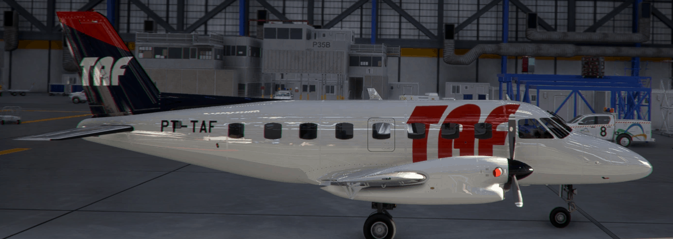 TAF PT-TAF NextGen EMB-110P v1.0