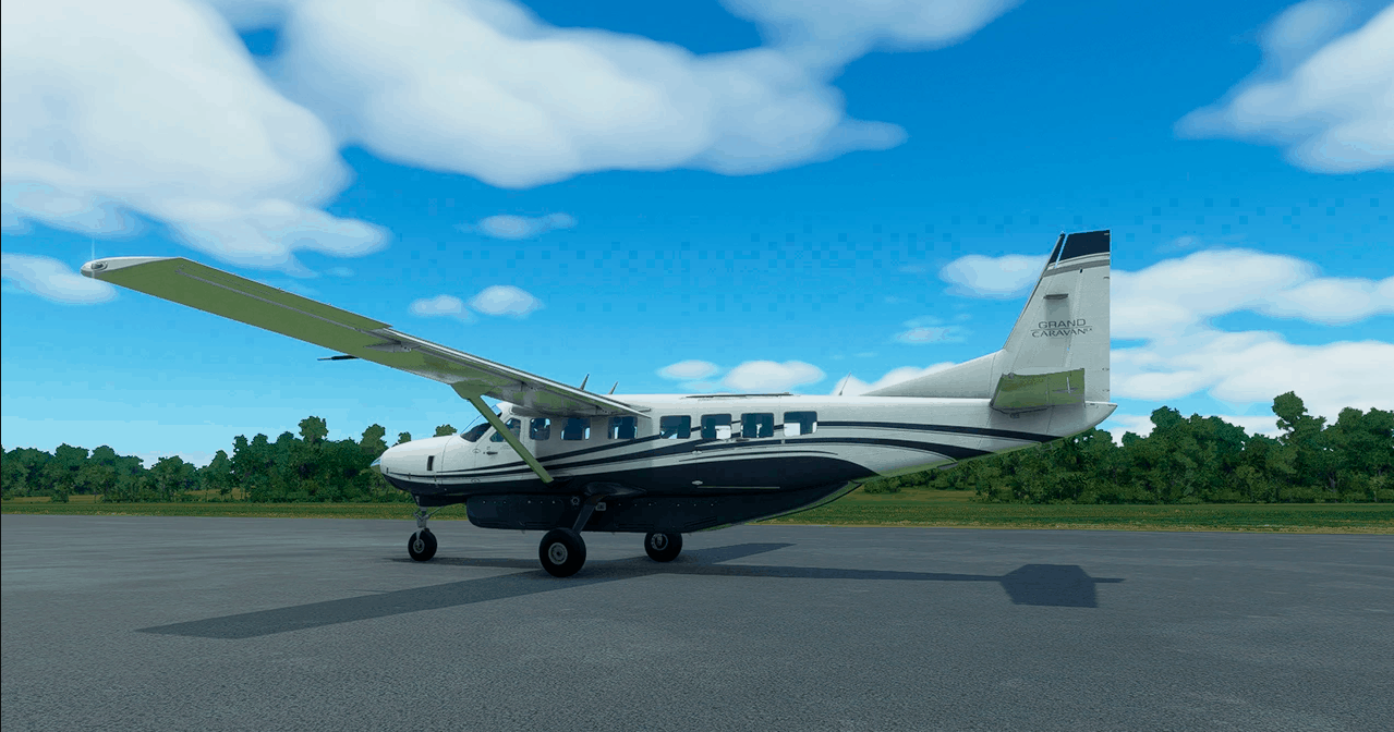 Remove Registration Number on C208 Fuselage v0.1