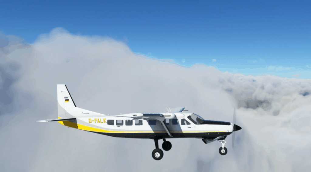 Cessna 208 Caravan No Pod Businesswings D-FALK v1.0 - MSFS2020 Liveries Mod
