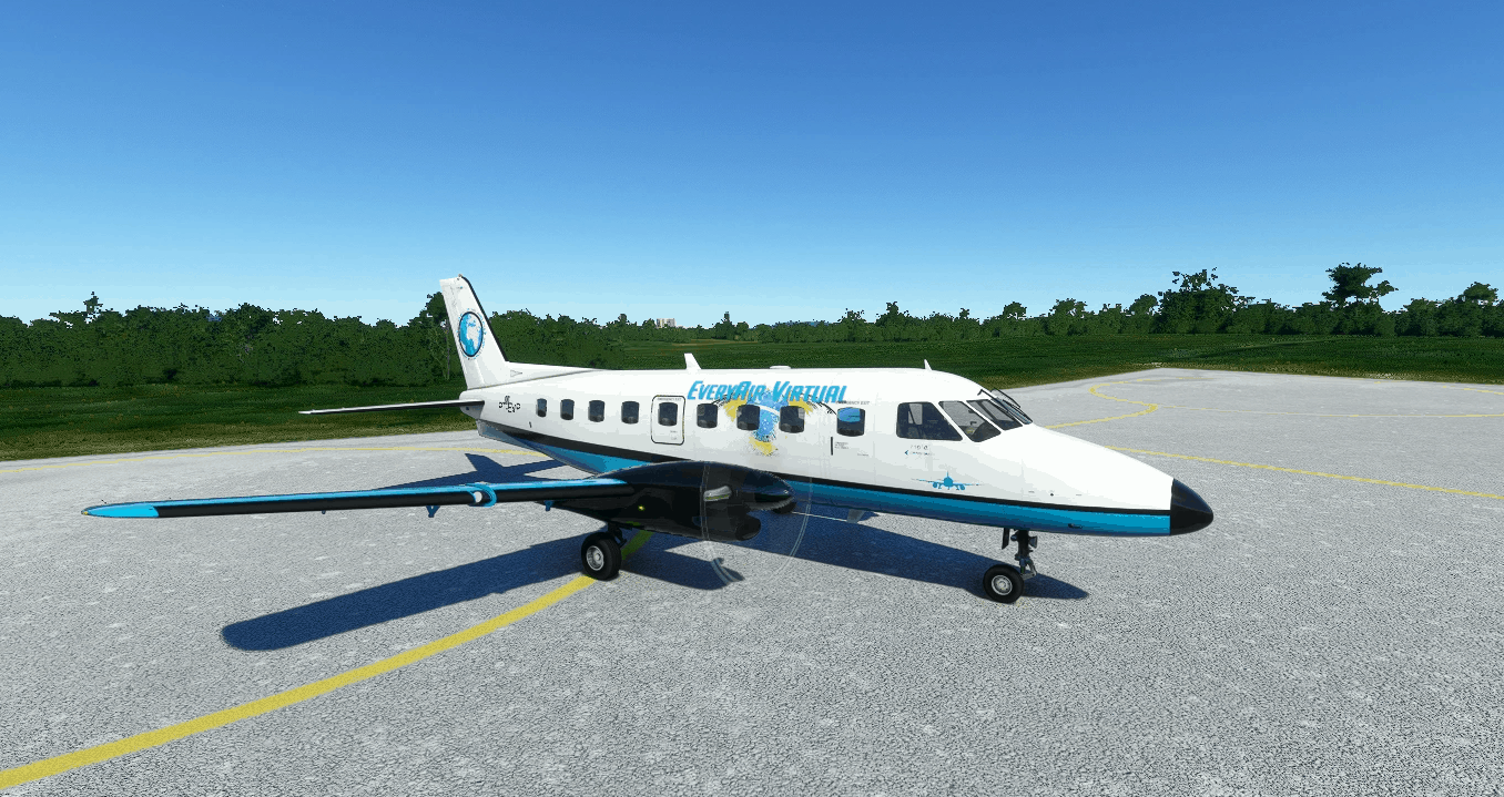 NextGen EMB110P1 Passenger / Freight- Every Air ( 4K ) v1.0