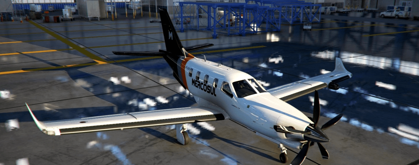 Livery – Mercosul – MLA – TBM930 Primitive v1.5