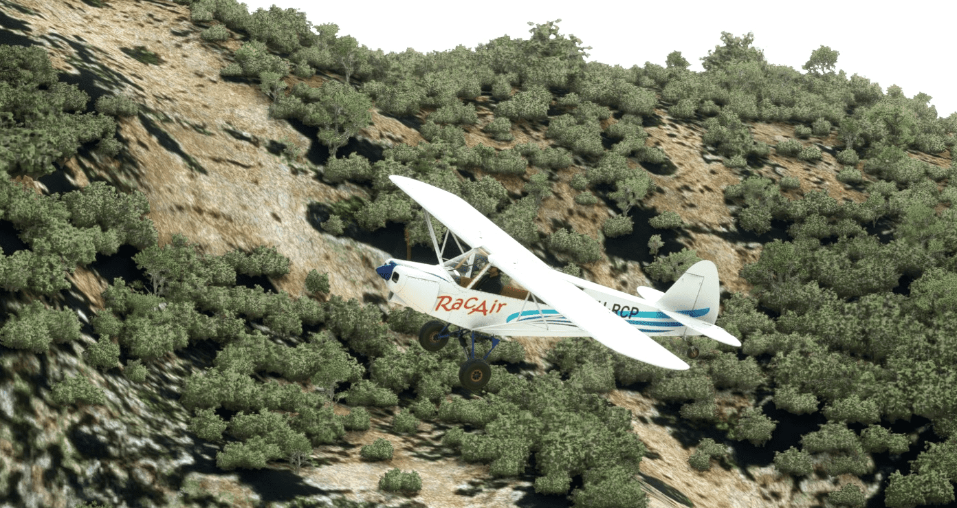 RacAir Livery for Savage Cub v1.0