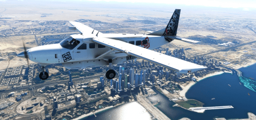 SKY Dive Dubai _ C208 Livery _ 4k v1.0