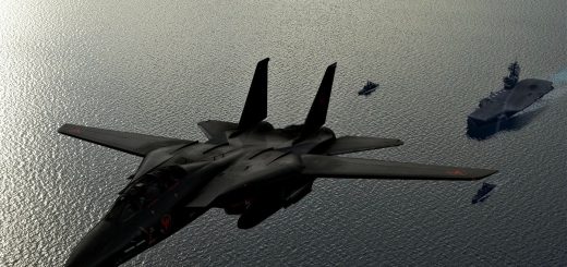 Top Gun Rogue F-14B Skin (Black Edition) v1.0