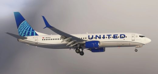United Airlines [Collection] | w/Cabin | PMDG B737-824 v1.1